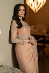 Embroidered Chiffon Saree