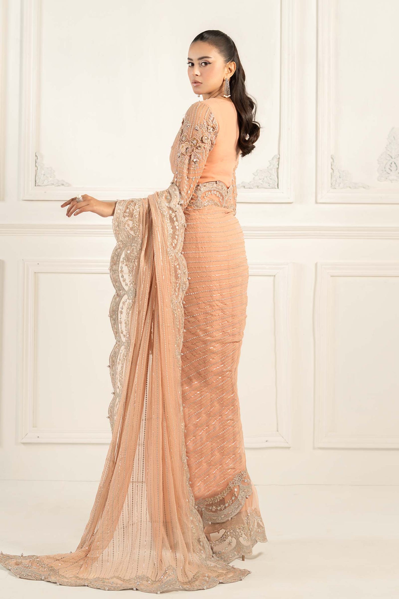 Embroidered Chiffon Saree