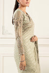 Embroidered Chiffon Saree