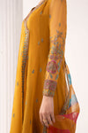3 Piece Embroidered Organza Suit