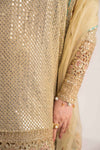 3 Piece Embroidered Chiffon Suit