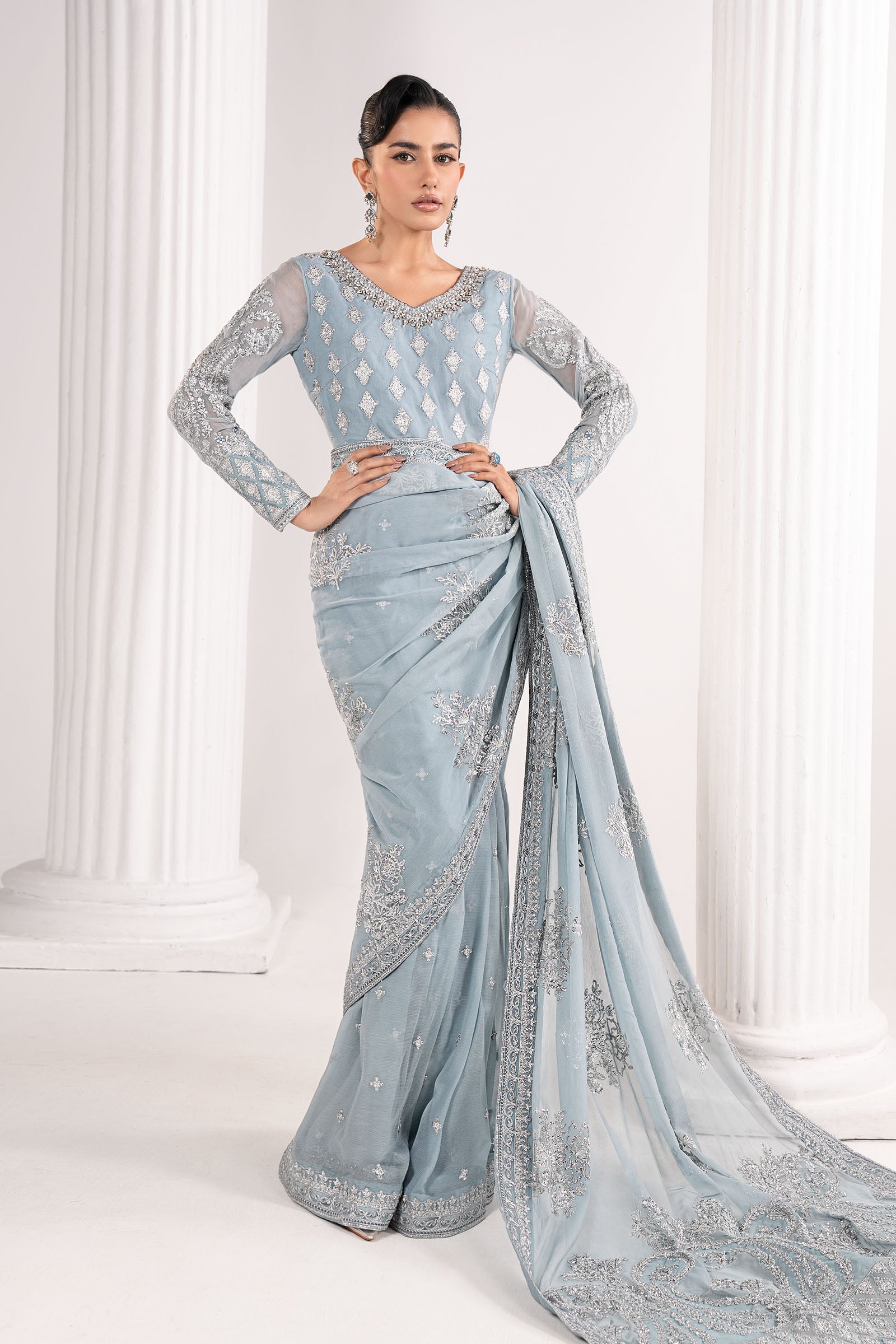 Embroidered Chiffon Saree