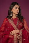 3 Piece Embroidered Net Suit
