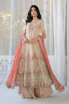 3 Piece Embroidered Organza Suit