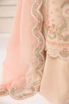 3 Piece Embroidered Organza Suit