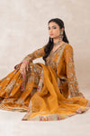 3 Piece Embellished Organza Suit