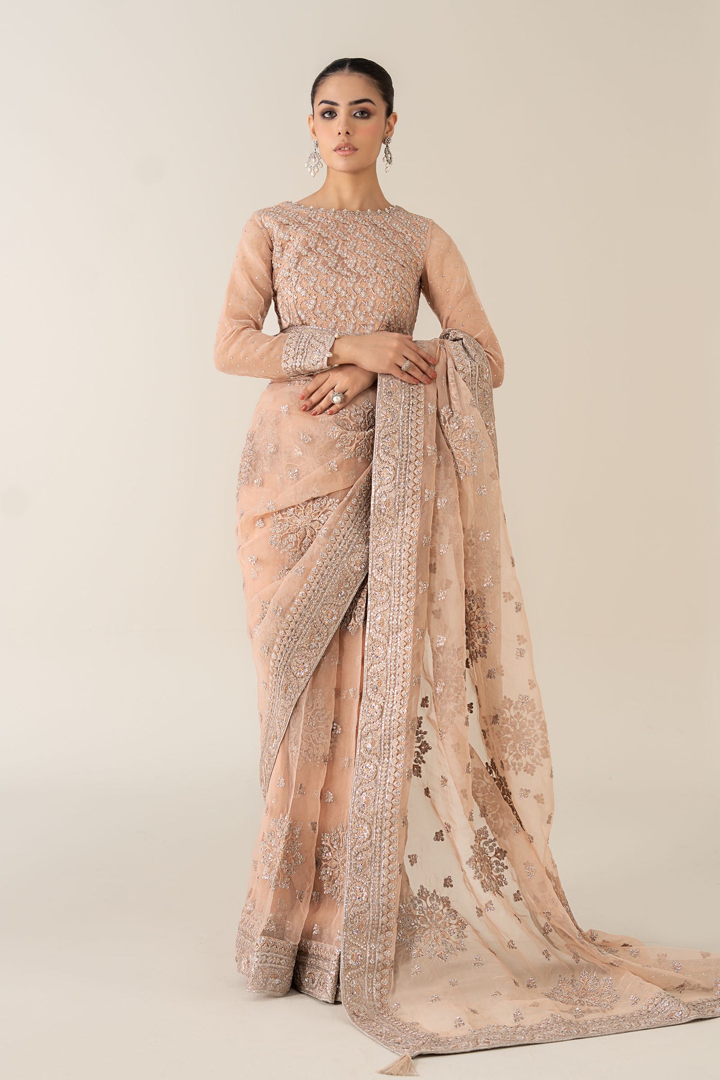 Embroidered Organza Saree