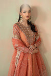 3 Piece Embroidered Organza Suit