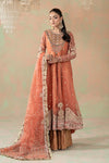3 Piece Embroidered Organza Suit