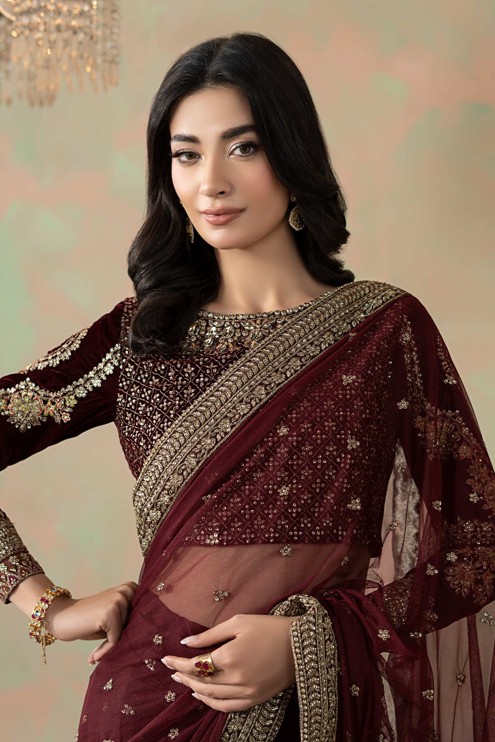 Embroidered Net Saree