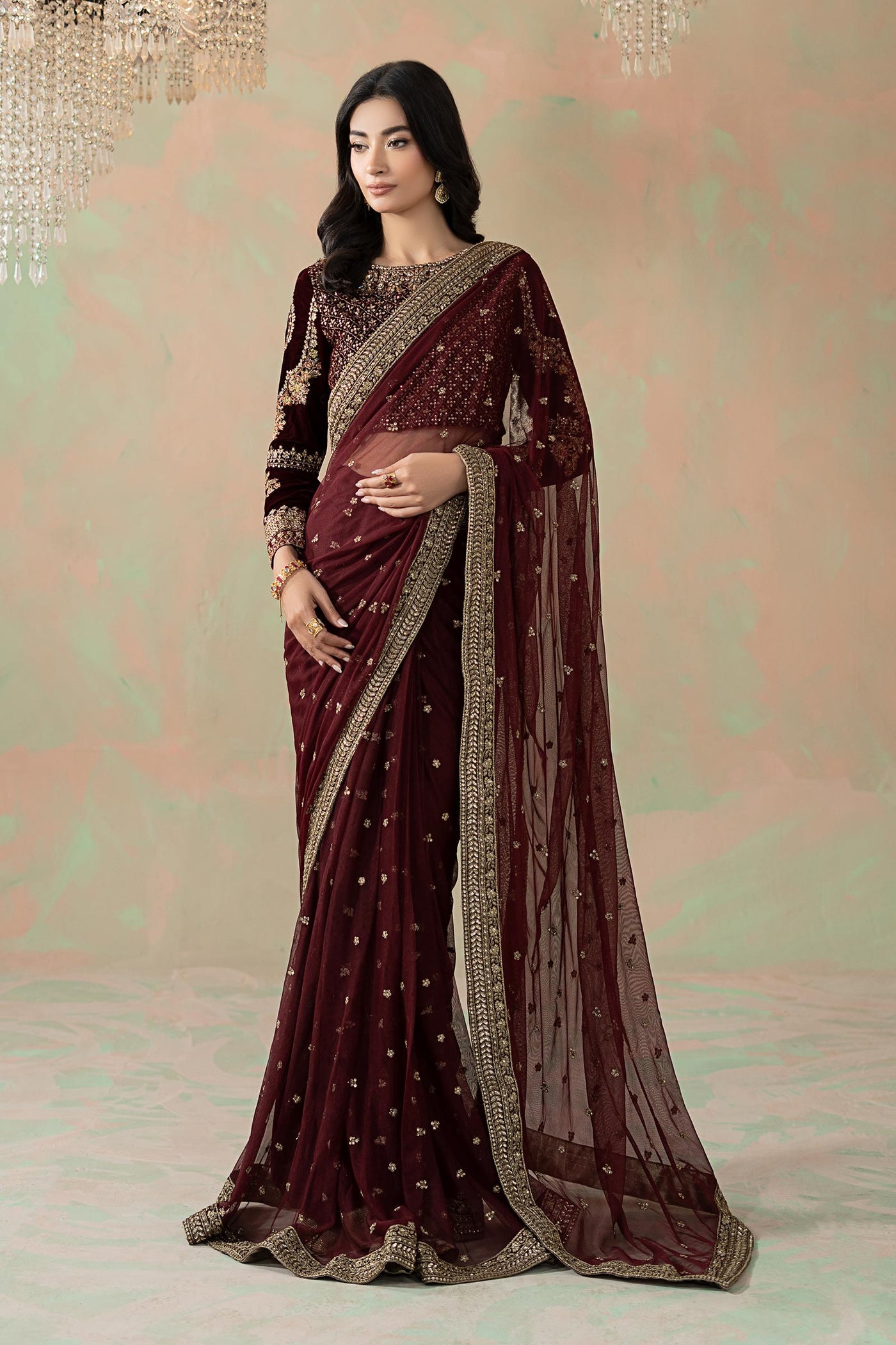 Embroidered Net Saree