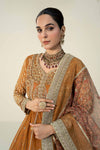 3 Piece Embroidered Net Suit
