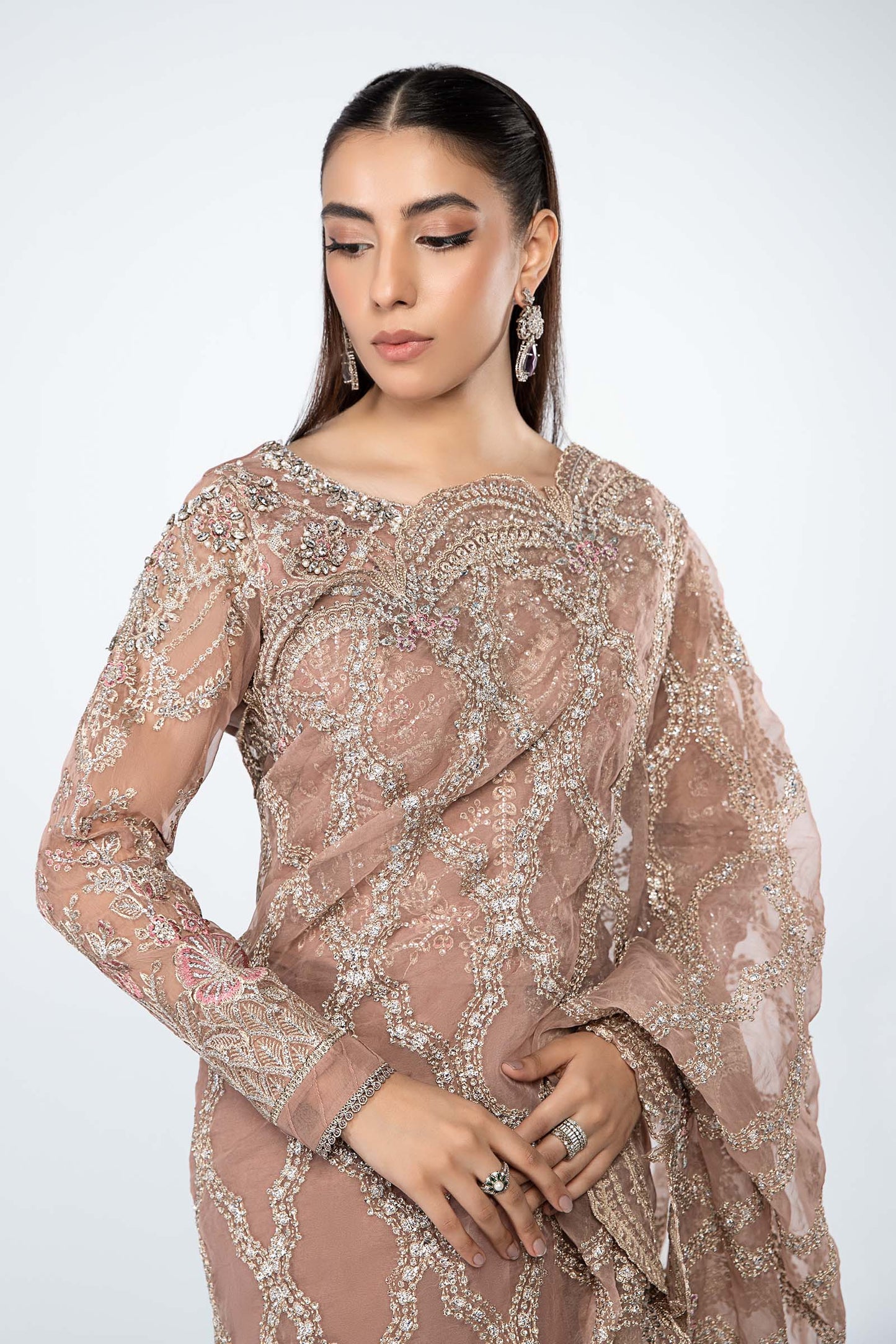 Embroidered Organza Saree