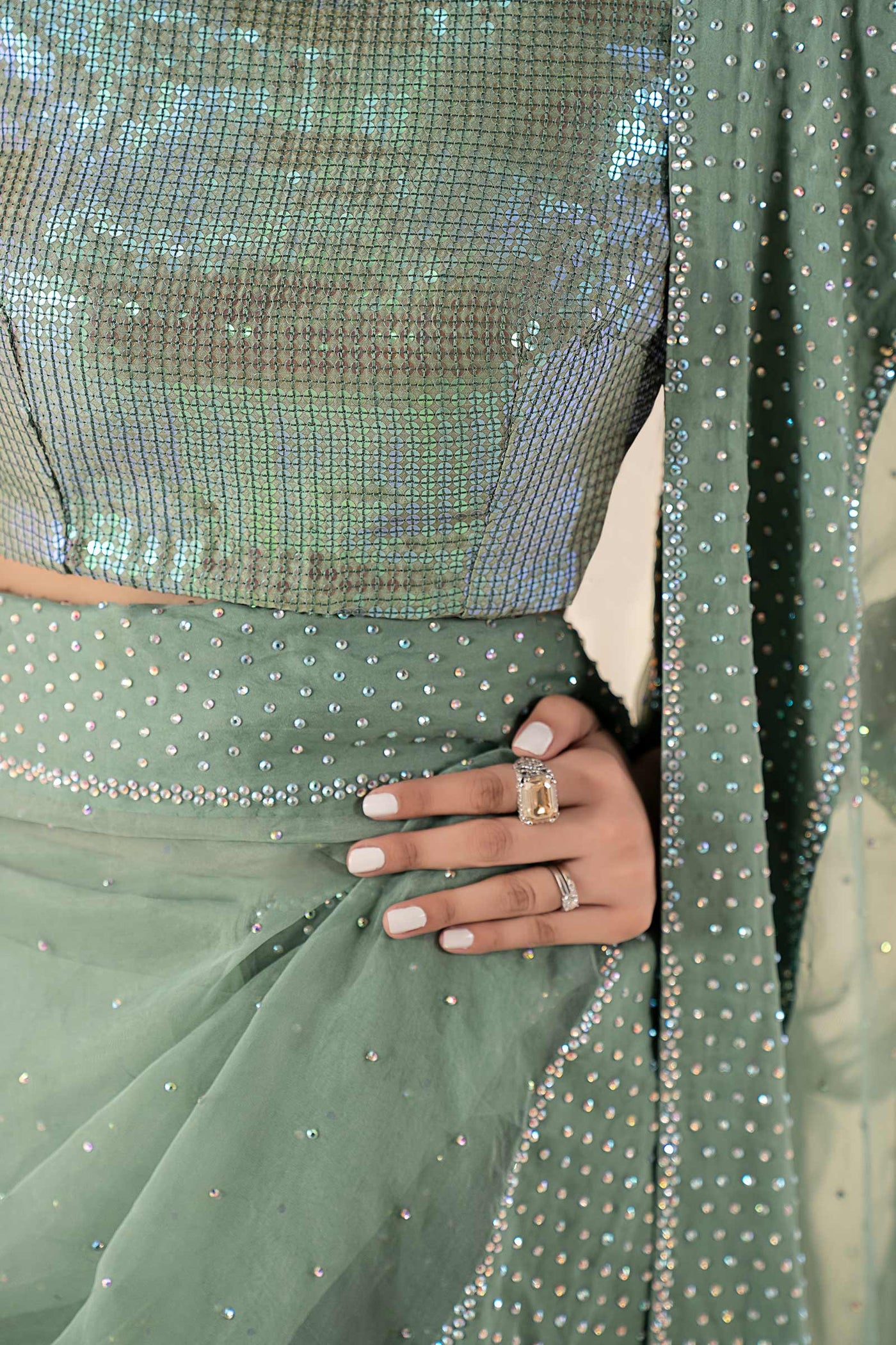 Embroidered Net Saree