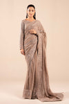 Embroidered Net Saree
