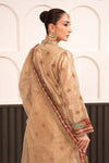 3 Piece Embroidered Tissue Suit