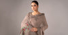 Embroidered Chiffon Saree