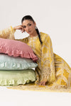 2 Piece Embroidered Lawn Suit