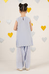2 Piece Embroidered Organza Suit