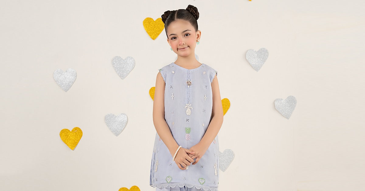 2 Piece Embroidered Organza Suit