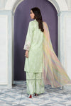 Suit Light Green DW-EA22-42