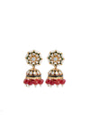 JER-061-Coral