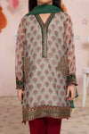 Suit Grey MKD-EA21-19